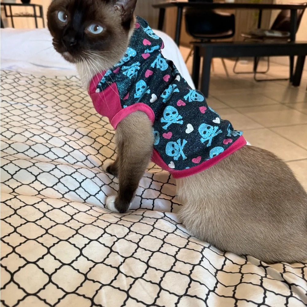 Stylish Pink and Blue Cat Hoodie